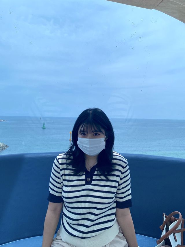 난 대관람차타러 바다여행간다