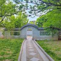당일 중국여행 월화원🌿