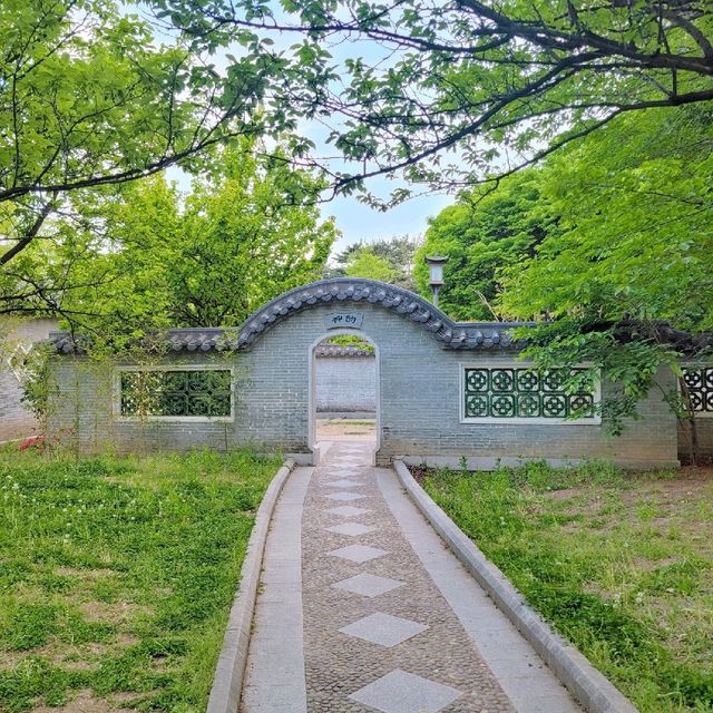 당일 중국여행 월화원🌿
