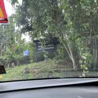 Day Trip - Back to Nature Cafe