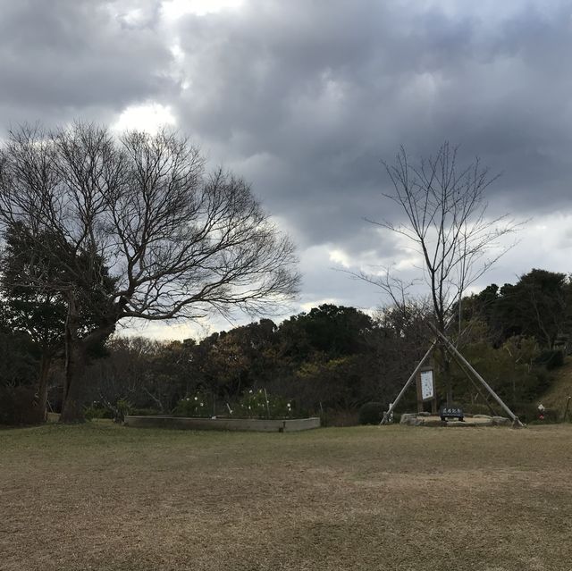 🇯🇵 讚嘆大自然之美 — 千疊敷和三段壁