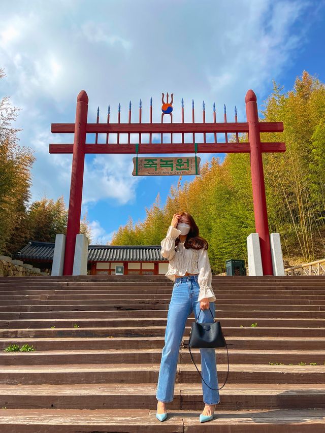 시원하고 청량한 공기 마시러~  담양 “죽녹원”🎋
