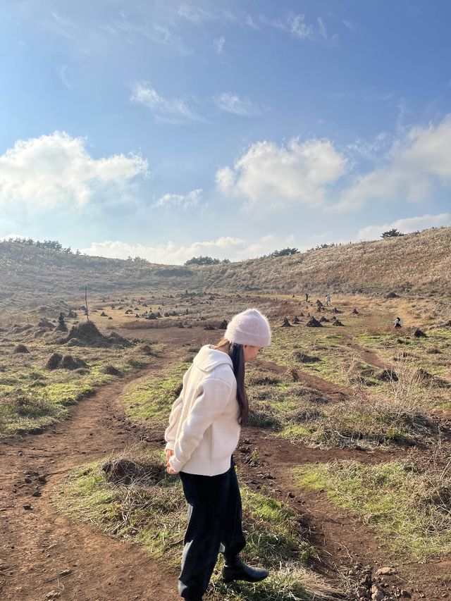 제주하면 오름! 오름하면 금오름이지!