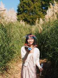 태안 가을 필수 여행지🌾