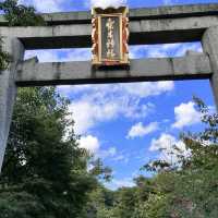 【京都】京都三名水を味わえ四季の花が楽しめる