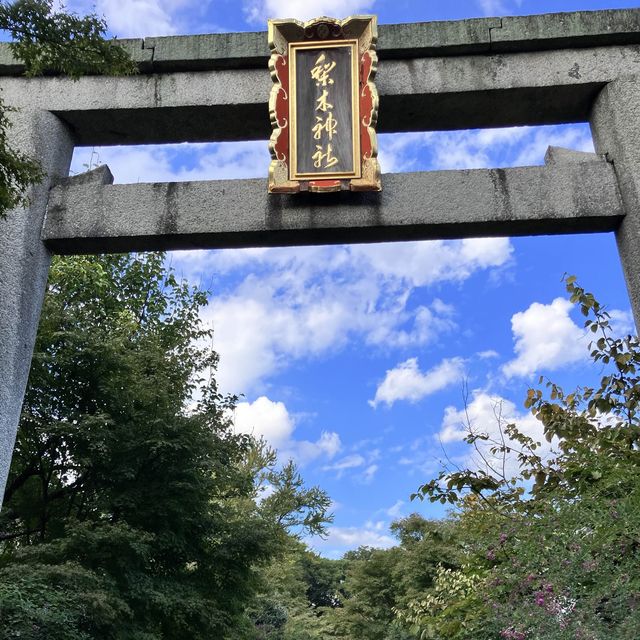 【京都】京都三名水を味わえ四季の花が楽しめる