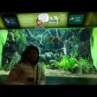 พามาเที่ยว New York Aquarium ค่ะ