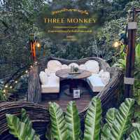 Three Monkey - คาเฟ่ไม่ลับกลางป่าเขียวเมืองภูเก็ต