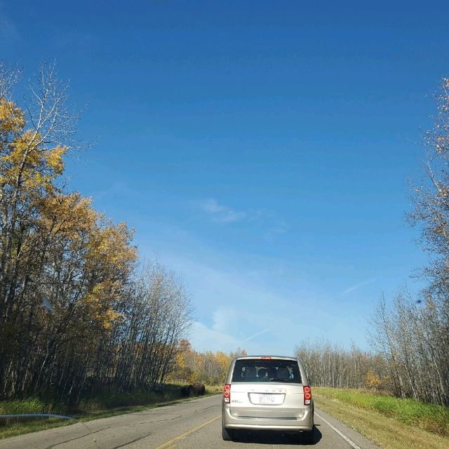 Edmonton ELK Island National Park 🏞