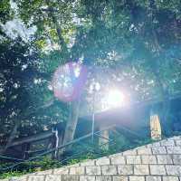 行山超快閃20-30分鐘，市區中既秘密花園🪴-訊號山花園