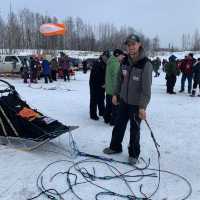 Witness the Iditarod dog sled race in Nome