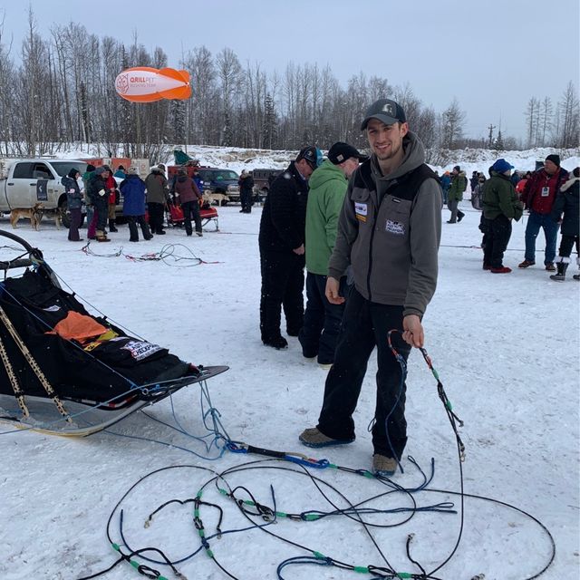 Witness the Iditarod dog sled race in Nome