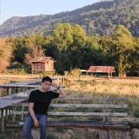 ภูเรือ เรือนไม้ รีสอร์ท ที่พักบรรยากาศดี วิวทุ่งนา