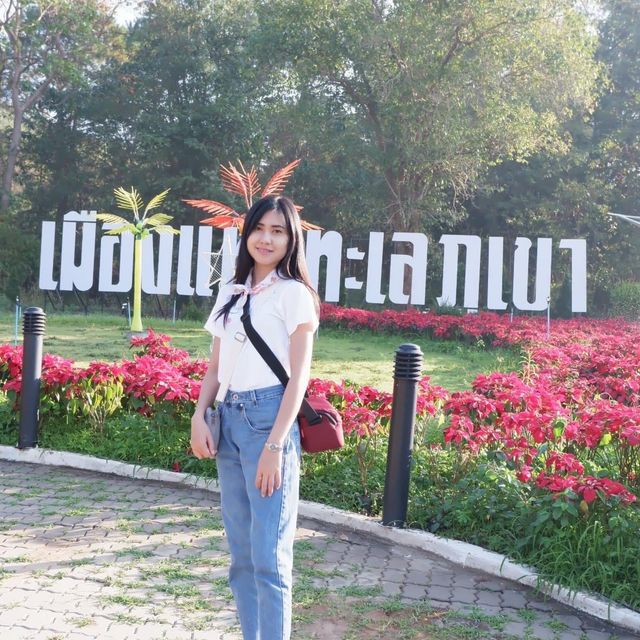 เช็คอินภูเรือ ⛄️❄️