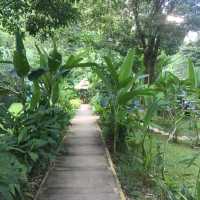 Angel Cave Laos