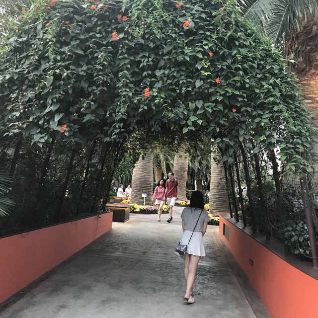 新加坡🇸🇬Marina Bay溫室🌸🌼花迷必去