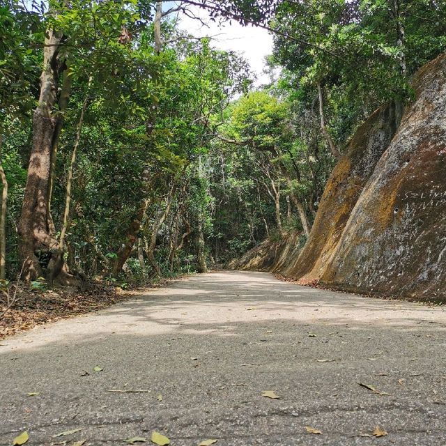 去港島西爬山，俯瞰維港