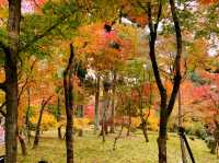 京都[紅葉めぐり]  永観堂(禅林寺)  圧巻の堂内編