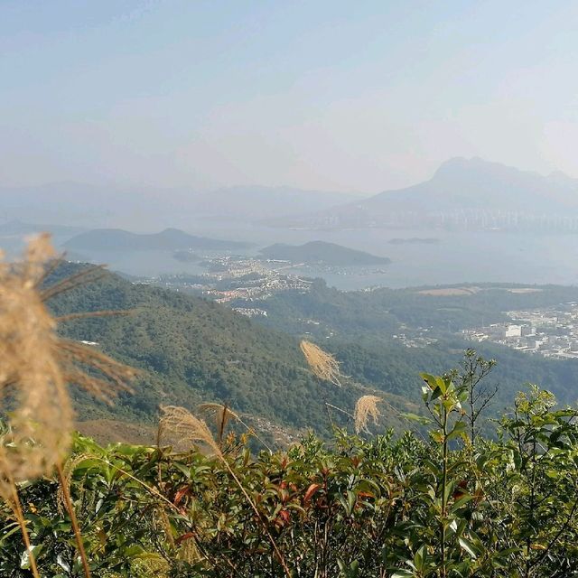 流水響至鶴藪鳳園山遊樂