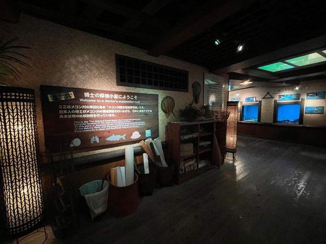 岐阜県•各務原市🐠世界最大級の淡水魚水族館【アクアトト岐阜】