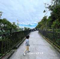 高空看香港