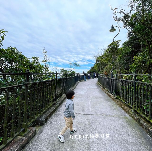 高空看香港