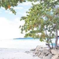 Hugo Hub Phuket เป็นร้าน สไตล์ funky bali style 