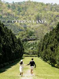 📸 ถ่ายรูปในสวนกลางหุบเขาที่ Cypress Lanes