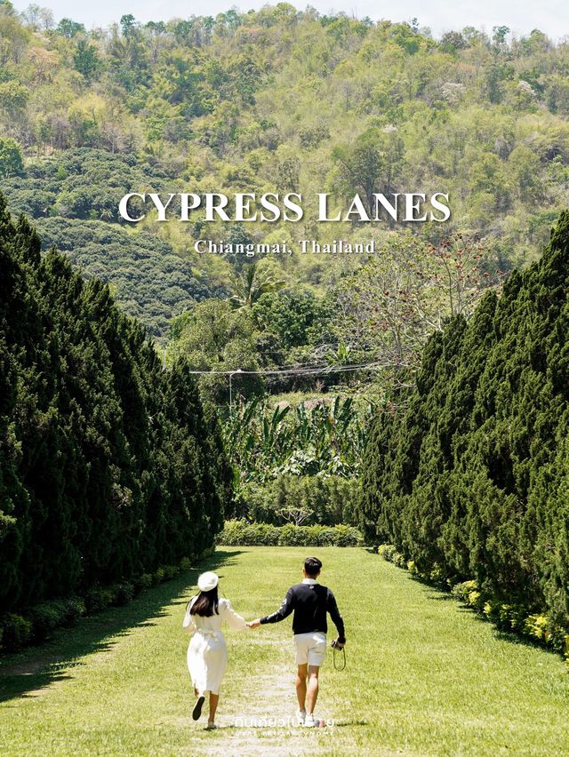 📸 ถ่ายรูปในสวนกลางหุบเขาที่ Cypress Lanes
