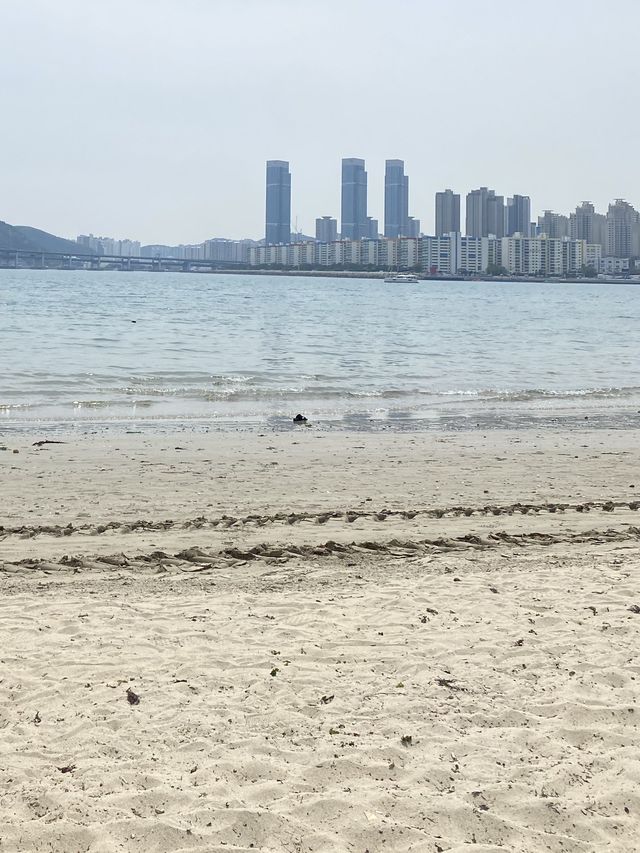 봄바다 부산[광안리 해수욕장]🌊