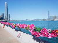 灣仔海濱長廊