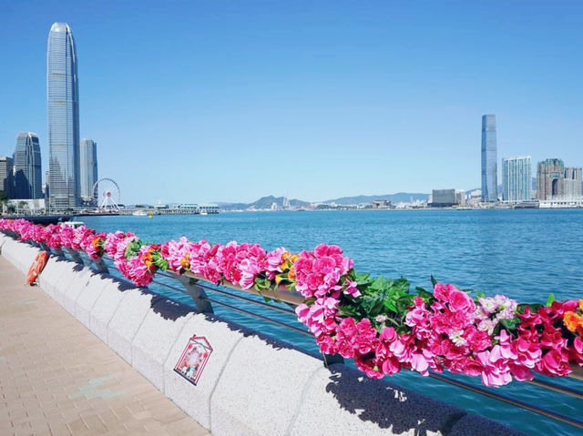灣仔海濱長廊 灣仔海濱長廊