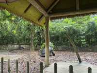Tortoise Shelter