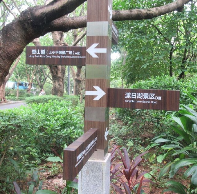 深圳天然大氧吧