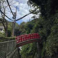 江ノ島の絶景を観ながら食べる江ノ島亭