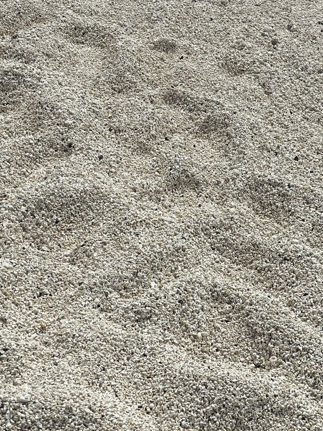 에메랄드빛 바다에서 스노쿨링🌊 우도 ‘서빈백사’
