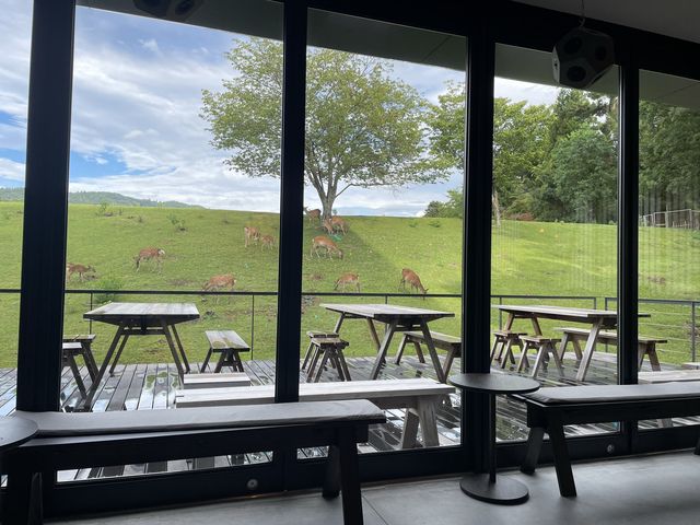 【カフェ】CAFE & BAR MIROKU TERRACE