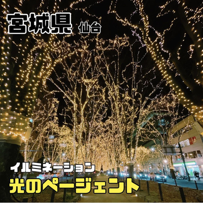 Sendai 光のページェント 宮城県 仙台市 Trip Com 仙台の旅のブログ