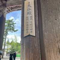 世界遺産を有する公園！奈良公園・東大寺