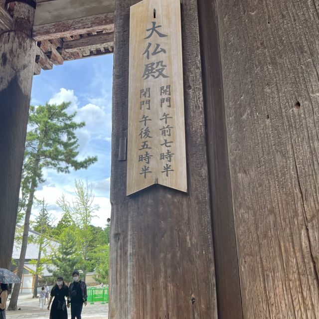 世界遺産を有する公園！奈良公園・東大寺