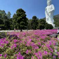 洗滌心靈之旅-［慈山寺觀音誕］