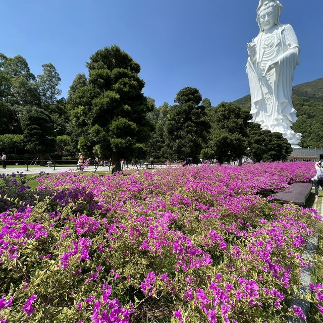 洗滌心靈之旅-［慈山寺觀音誕］