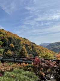 곤지암 화담숲에서 느끼는 가을정취🍁🍂