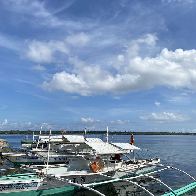 White Sand Beach of Bohol