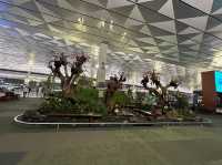 Modern Terminal 3 for International Trip 