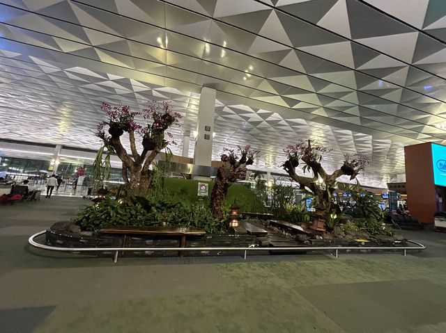 Modern Terminal 3 for International Trip 