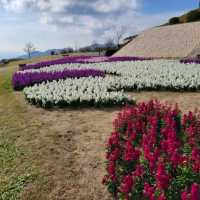 兵庫縣立公園淡路花棧敷