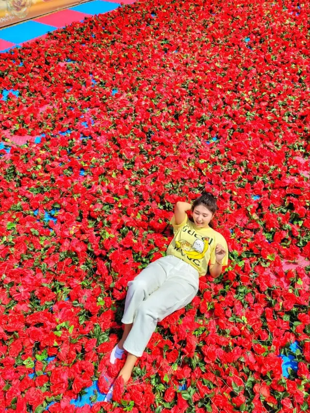 5월이 기다려지는 이유, 곡성장미축제🥀🎡