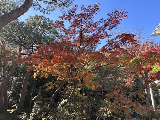 【島根】庭園がきれいな足立美術館