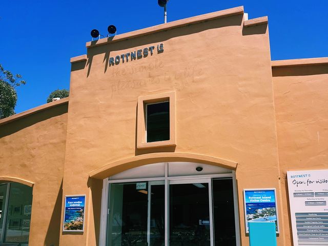 Rottnest Island!😎 Beachin’ The Beach!🤪